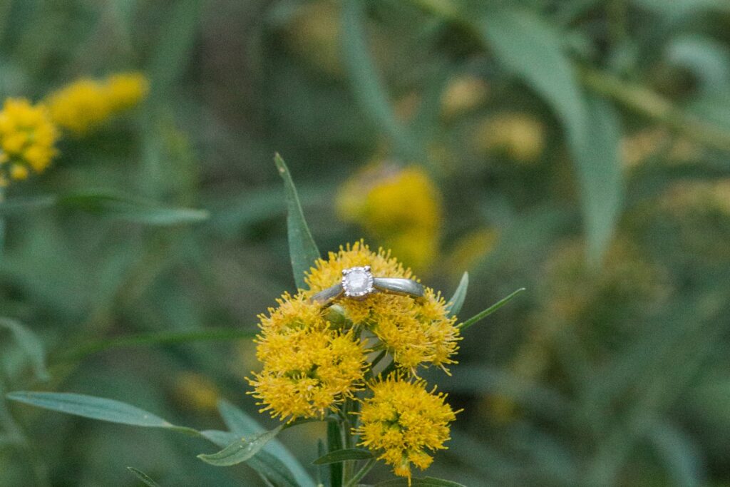 Close-up of engagement ring 